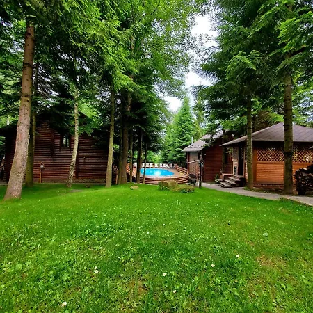 Chata Gostynniy Dvir In Forest *