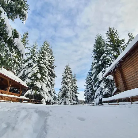 Chata Gostynniy Dvir In Forest *