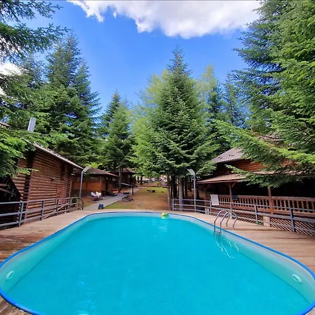 Gostynniy Dvir In Forest