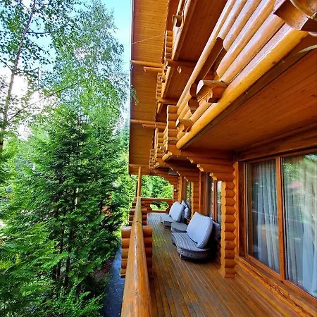 Gostynniy Dvir In Forest * Mihove