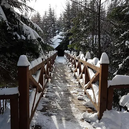 Gostynniy Dvir Alojamento de Turismo Selvagem