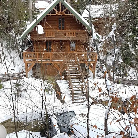 Gostynniy Dvir Коттеджи Lodge Migovo