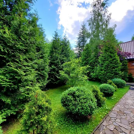 Gostynniy Dvir In Forest * Migowo