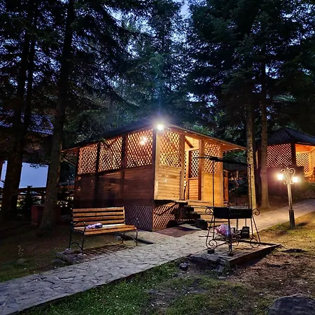 Chata Gostynniy Dvir In Forest *