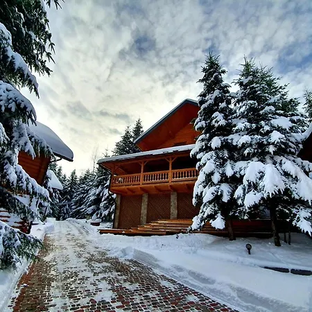 Lodge Gostynniy Dvir Коттеджи *