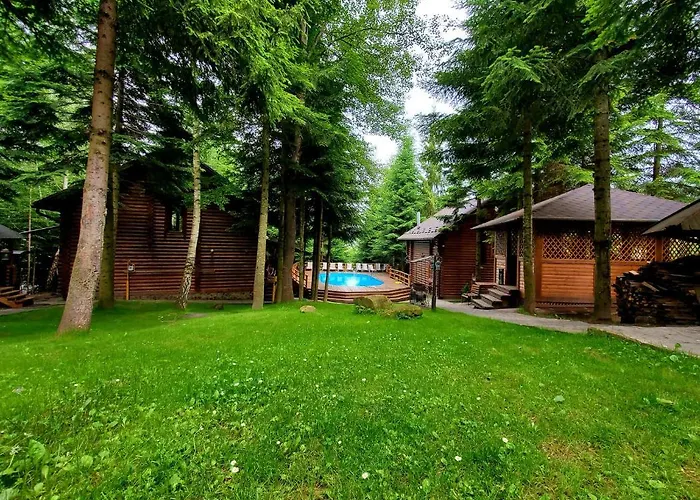 Alojamento de Turismo Selvagem Gostynniy Dvir In Forest *
