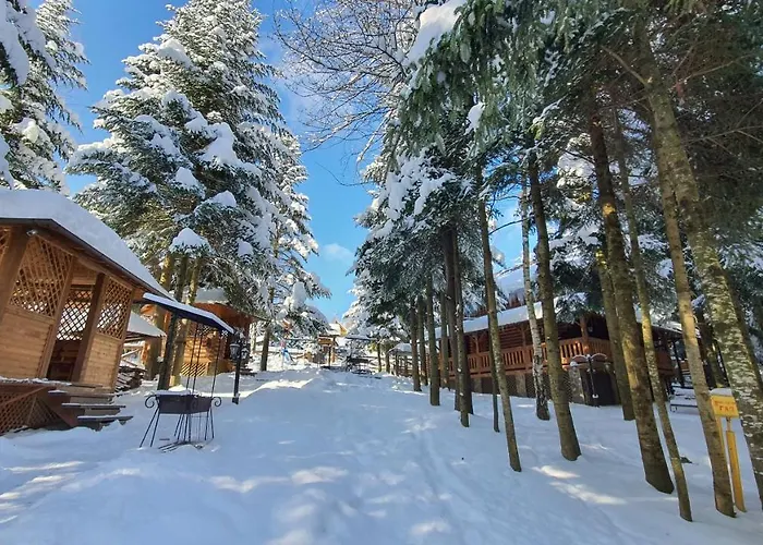 Alojamento de Turismo Selvagem Gostynniy Dvir In Forest Myhove