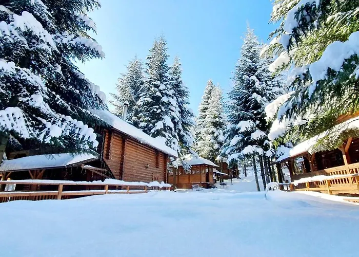 Gostynniy Dvir In Forest Alojamento de Turismo Selvagem Myhove