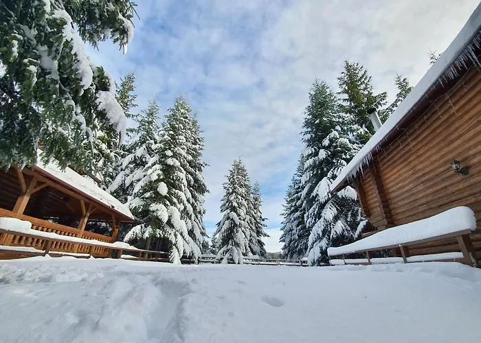 Alojamento de Turismo Selvagem Gostynniy Dvir In Forest *