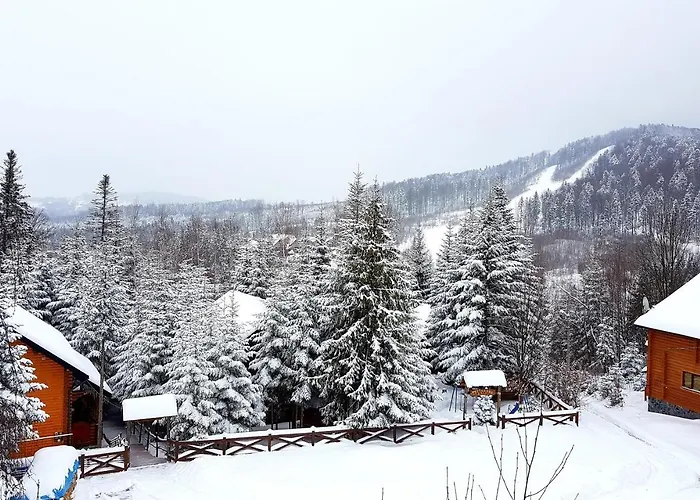 Alojamento de Turismo Selvagem Gostynniy Dvir In Forest