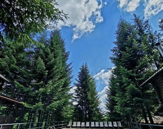 Gostynniy Dvir In Forest Alojamento de Turismo Selvagem Myhove