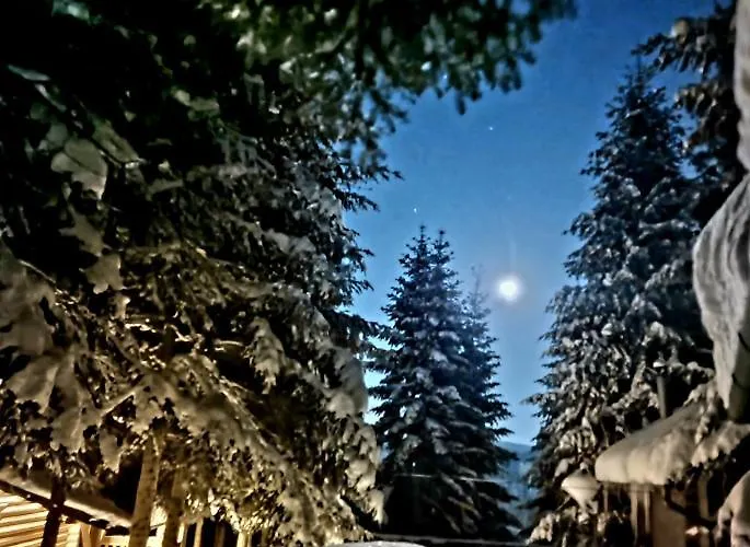 Gostynniy Dvir In Forest