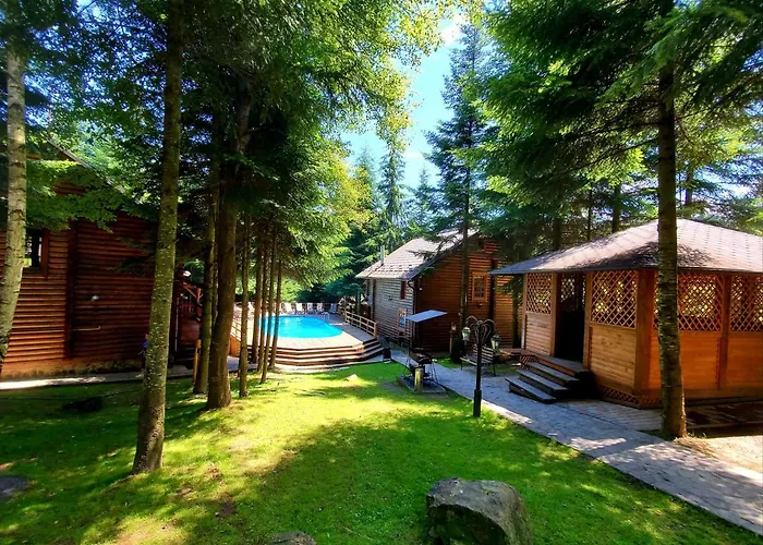 Gostynniy Dvir In Forest * Myhove