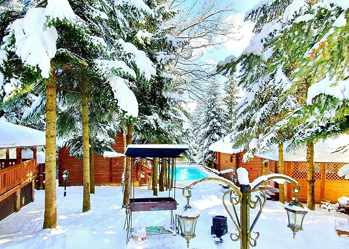 Gostynniy Dvir In Forest