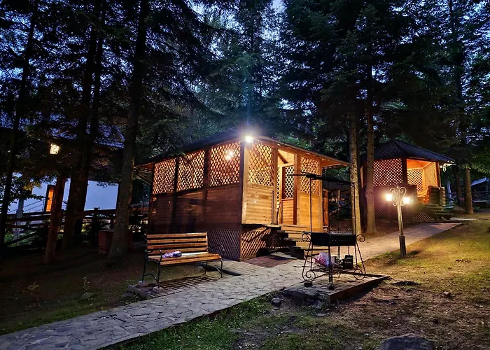 Alojamento de Turismo Selvagem Gostynniy Dvir In Forest *