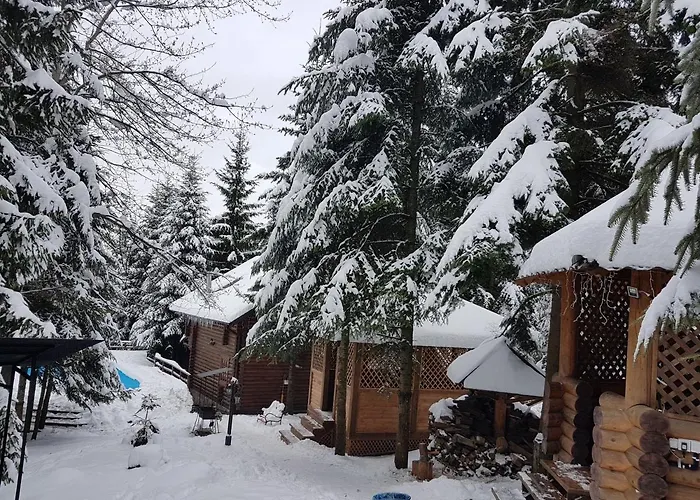 Gostynniy Dvir In Forest *